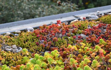 the cost of Cubert green roof installation