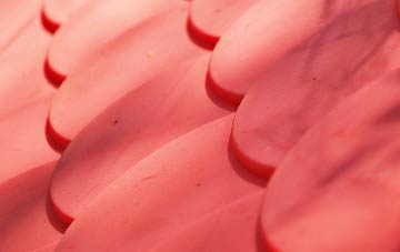 Cubert plastic roof costs