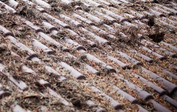 Cubert roof cleaning companies